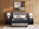 Millennium 2.0 Hybrid 14 Inch Mattress